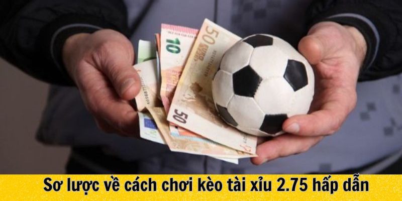 Sơ lược về cách chơi kèo tài xỉu 2.75 hấp dẫn